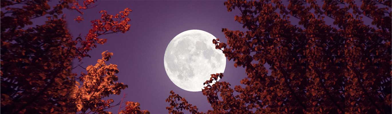 Poema Luna llena